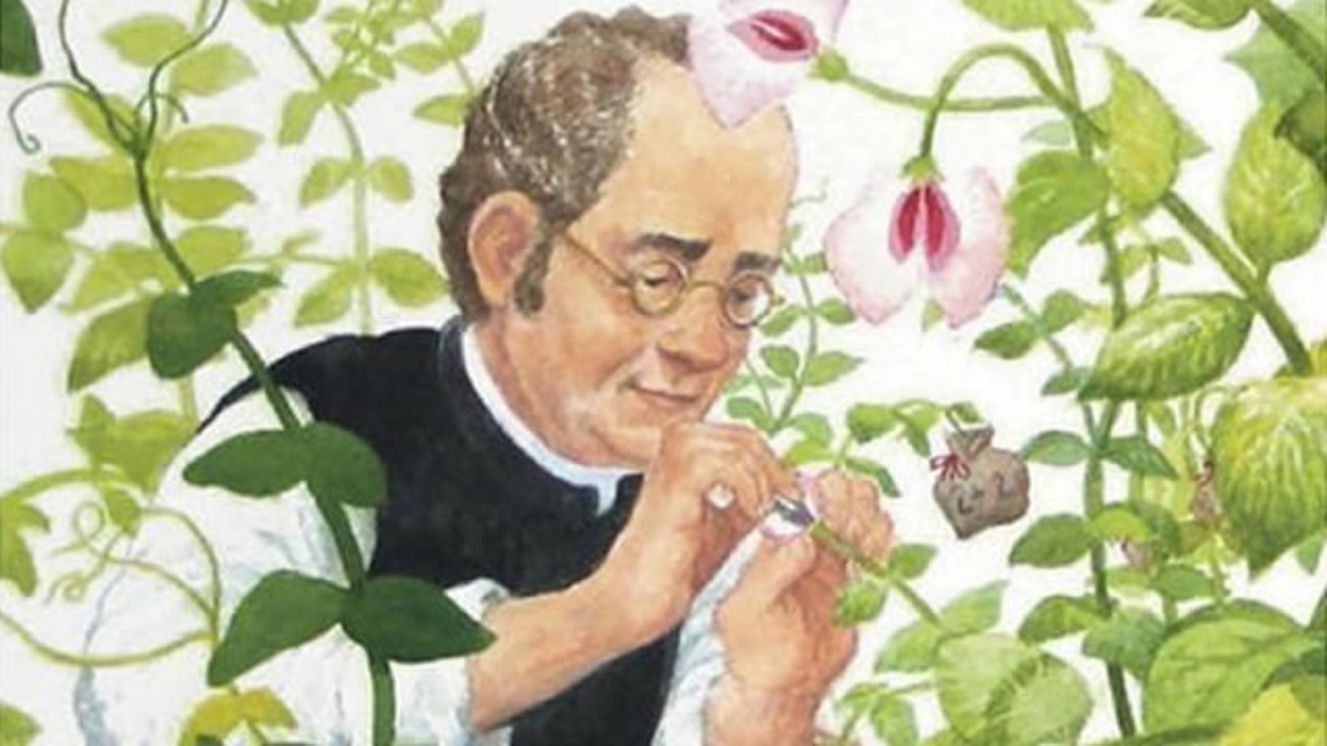 Gregor Mendel: Bapak Genetika Modern