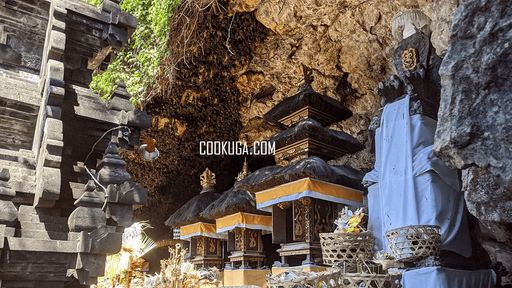cookuga